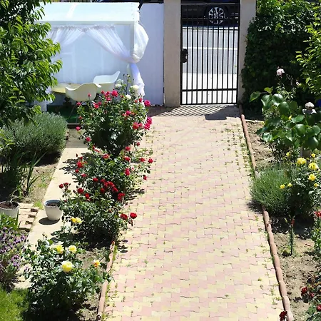 Magnolia 3* فاما فيكي